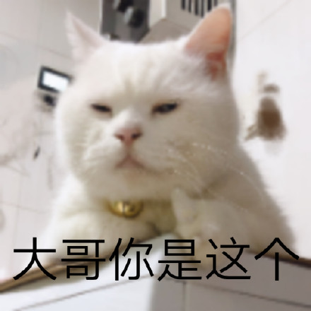 双十一你消费了吗?